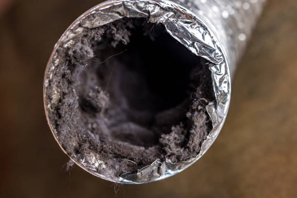 Best Affordable HVAC Duct Cleaning  in Waterloo, IL